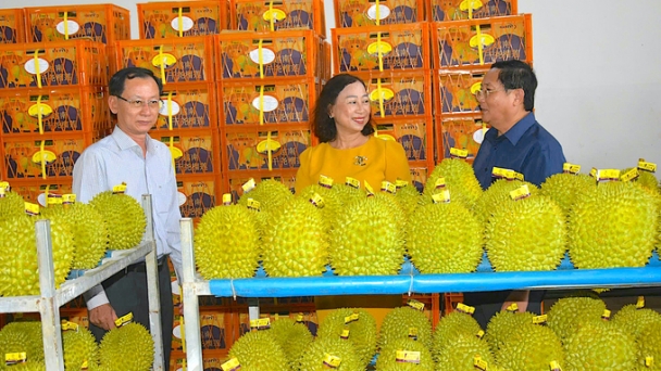 China’s fruit export value up 29.51% in first 9 months of 2024