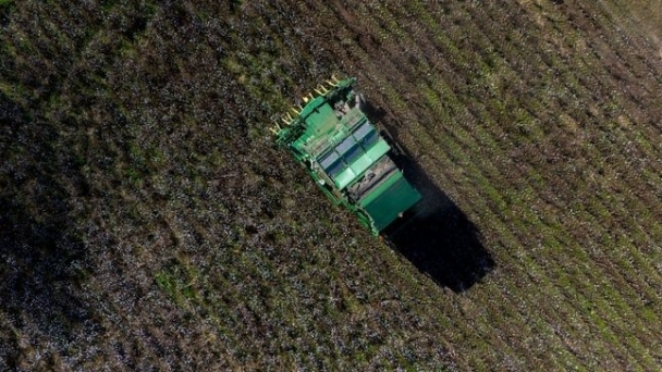 Georgia farmers still grappling with $5.5 billion in Hurricane Helene storm losses