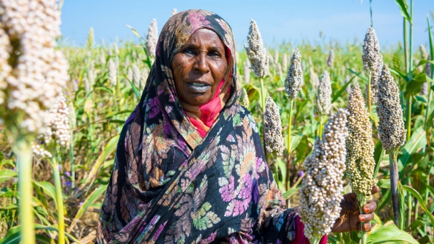 Food and nutrition crisis deepens across Sudan as famine identified in additional areas