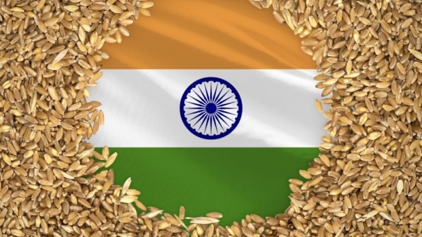 India plans to triple wheat storage capacity