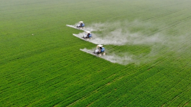 Chinese scientists' major discovery innovating pesticide industry