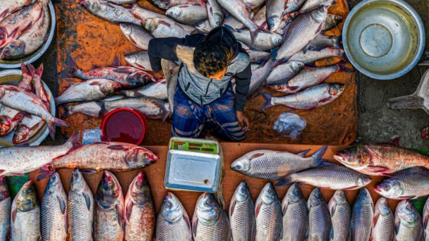 Frozen seafood: changing perceptions in Bangladesh