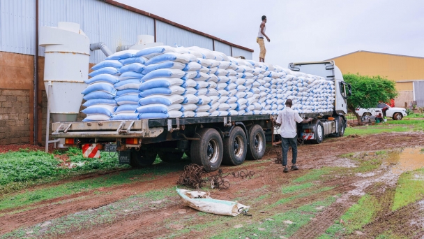 FAO calls for urgent action to address widening famine in Sudan