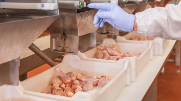 Poland’s poultry industry has had a record year