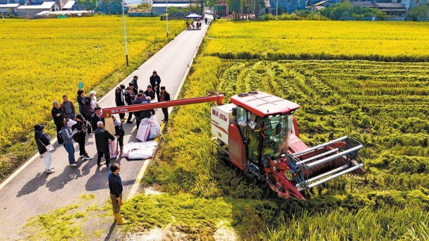 Hunan grain base to ensure nation's food security