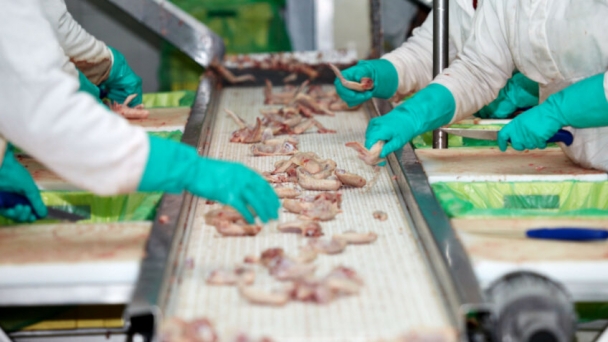 EU poultry production and consumption set to rise