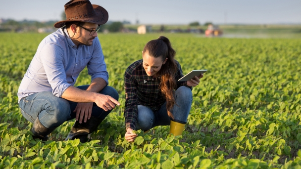 Farmer discusses potential impacts of Trump tariffs on the industry