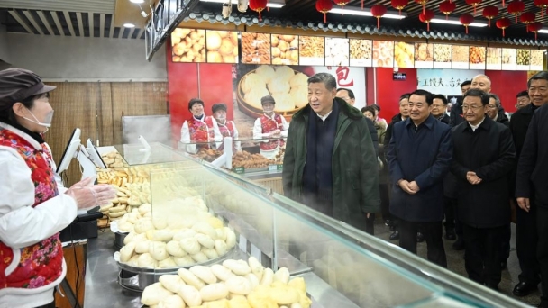 Xi inspects Spring Festival market supply