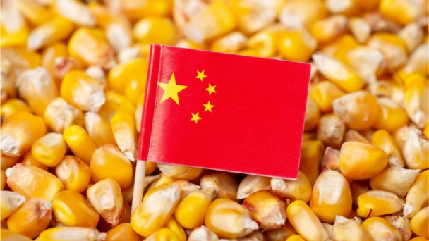 China on pace for record grain production