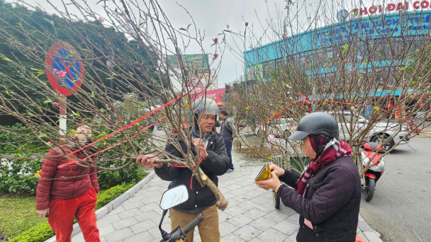 Chợ hoa Đồng Hới vắng hơn ngày thường