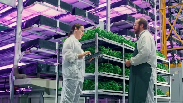 Five reasons why vertical farming is still the future, despite all the recent business failures