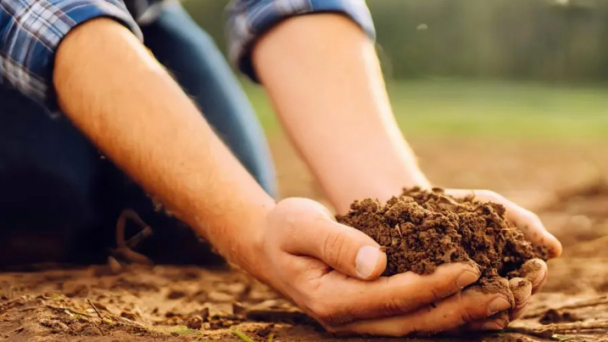 Future of farming: Insect waste reshapes soil health