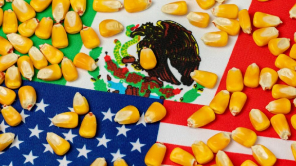 Mexico officially repeals biotech corn imports ban