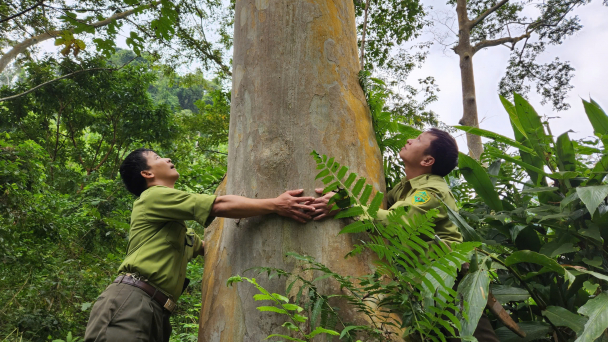 Xuan Lien Nature Reserve has been designated as a National Park