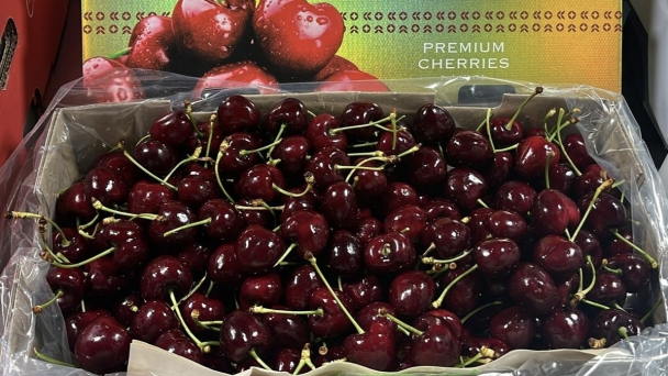 The price of Chilean cherries has dropped significantly, the fresh grape market is recovering strongly