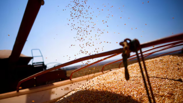 By the numbers: Breaking down the global soybean trade