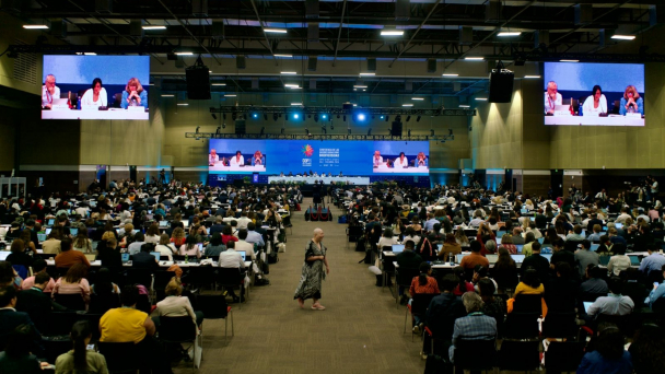 UN Biodiversity Conference COP16 talks resume in Rome: What’s at stake?