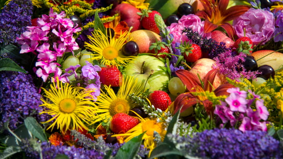 Antioxidants in fruits and flowers seem to counteract harmful effects of microplastics, study shows