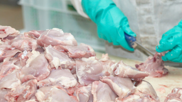 Ukraine: poultry exports reached nearly $1 billion in 2024