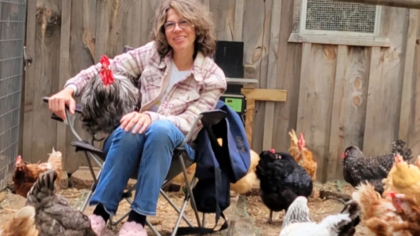 Eggcellent alternative: High egg prices causing people to rent and raise their own chickens