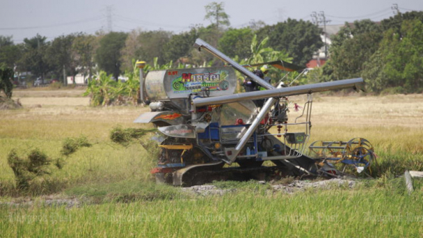 Thailand seeks cooperation with India, Vietnam to support falling rice prices