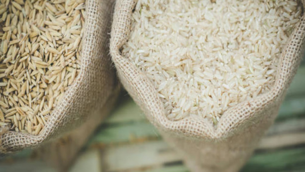 India lifts export ban on broken rice, global prices may fall