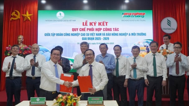 Vietnam Rubber Group signs MoU with Vietnam Agriculture and Nature Newspaper