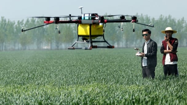 Pioneering the Future: Smart and Green Agriculture