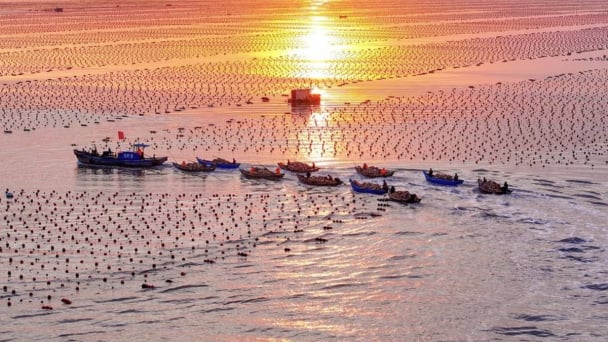 China expands marine ranching to boost food security