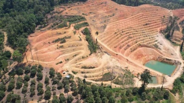 Breaking cycle of forest land grabs