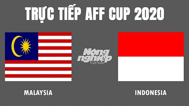 Trực tiếp bóng đá Malaysia vs Indonesia tại AFF Cup 2020 hôm nay 19/12