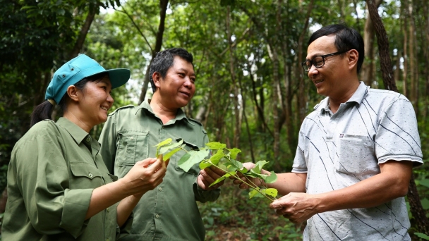 Ngành Lâm nghiệp cần thay đổi tư duy tăng trưởng sang tư duy phát triển