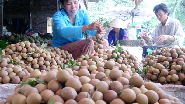 Nhãn Idor trúng đậm
