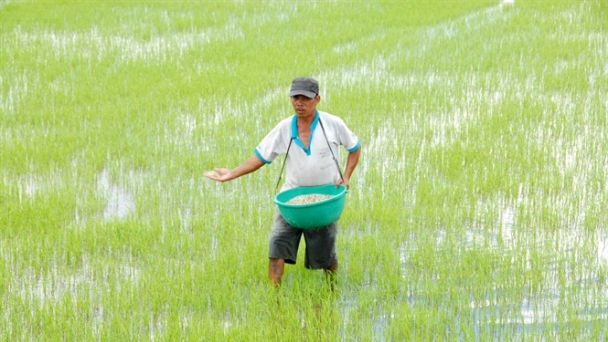 Vụ hè thu thuận lợi