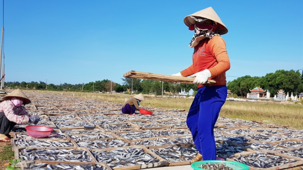 Cá nục, cá hố giá… rẻ như cho!