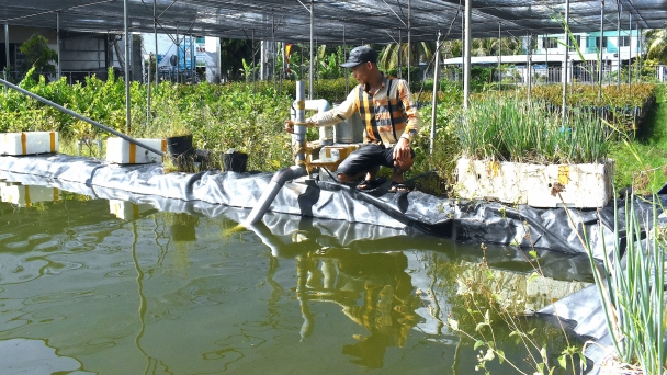 Ideas for drought - salt fruit tree planting areas: A commune with thousands of freshwater lakes