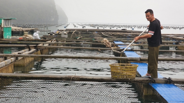 Investment in marine farming: Policy remains on land, but life is out to sea