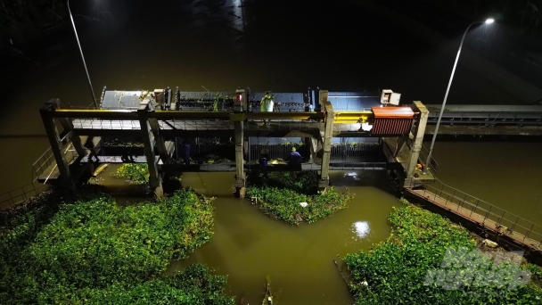 'Saving' dykes and irrigation works after Typhoon Yagi: Spending all night draining water and saving crops