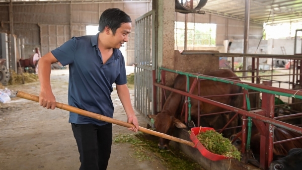 Livestock production in shambles after Typhoon Yagi: Focus on vaccinating livestock to prevent diseases