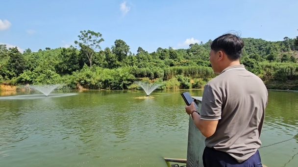 ‘Crispy carp’ raised in highland areas has few diseases thanks to clean water sources