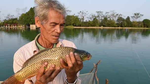 A disease prevention story of a commune with the largest aquaculture area in Hanoi