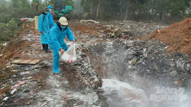 Foot and mouth disease outbreak detected in Thanh Hoa