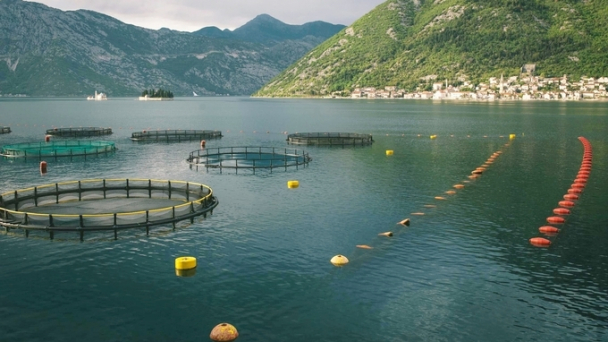 Good planning helps sustainable mariculture lower the impact on biodiversity