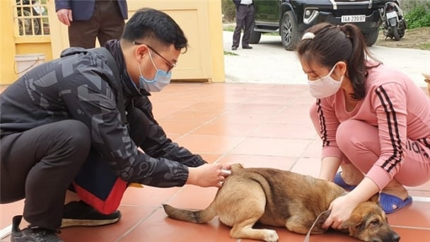 Uong Bi launches rabies prevention campaign