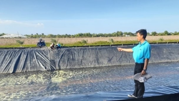 Shrimp farming in 2 stages achieves over 90% survival rate