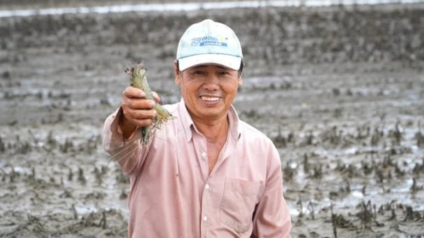 Organic agriculture in the Mekong Delta region