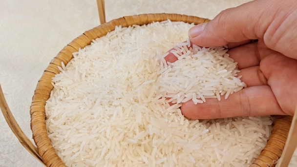 Rice prices on 09/11/2024: Rice prices increase