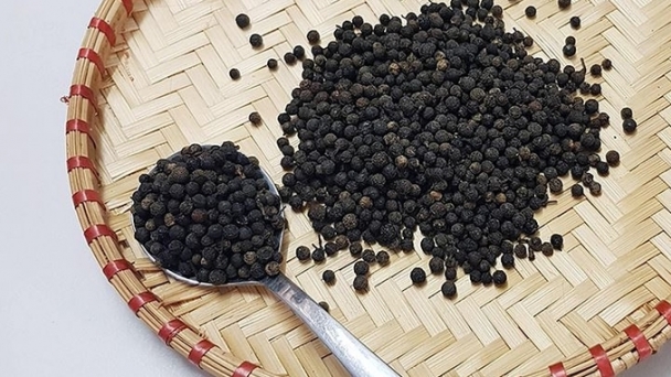 Pepper prices on 09/14/2024: increase in Dong Nai and Gia Lai