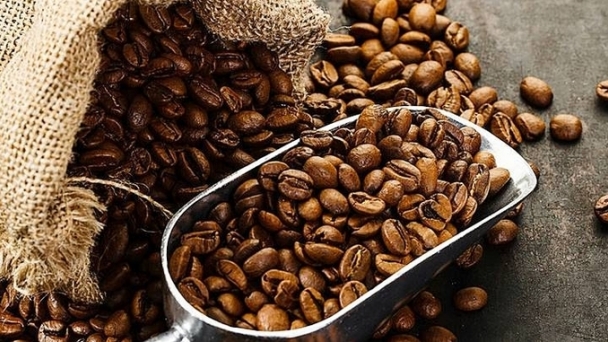 Coffee prices on 09/17/2024: Slight decrease across the board