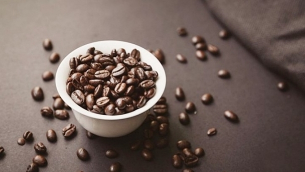 Coffee prices on 09/23/2024: Hovering at VND 120,000/kg